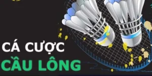 Cách Chơi Cá Cược Cầu Lông EE88: Chinh Phục Kèo Thắng