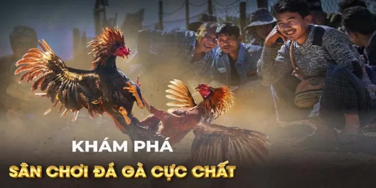 Cách Chơi Đá Gà GA28 Tại EE88 Hướng Dẫn Chi Tiết Nhất 2 Cách Chơi Đá Gà GA28 Tại EE88 Hướng Dẫn Chi Tiết Nhất
