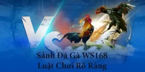 Hướng Dẫn Cách Chơi Đá Gà WS168 Tại EE88 Hiệu Quả Nhất