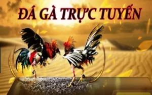 Cách Chơi Đá Gà 3D Tại EE88 Đỉnh Cao Giải Trí Trực Tuyến