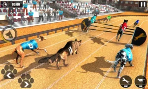 Hướng Dẫn Chơi Game Nhanh Đua Chó Tại EE88 Thành Công
