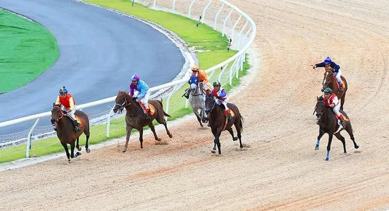 Tìm Hiểu Cá Cược Đua Ngựa EE88: Hấp Dẫn Và Kịch Tính 1 Tìm Hiểu Cá Cược Đua Ngựa EE88: Hấp Dẫn Và Kịch Tính